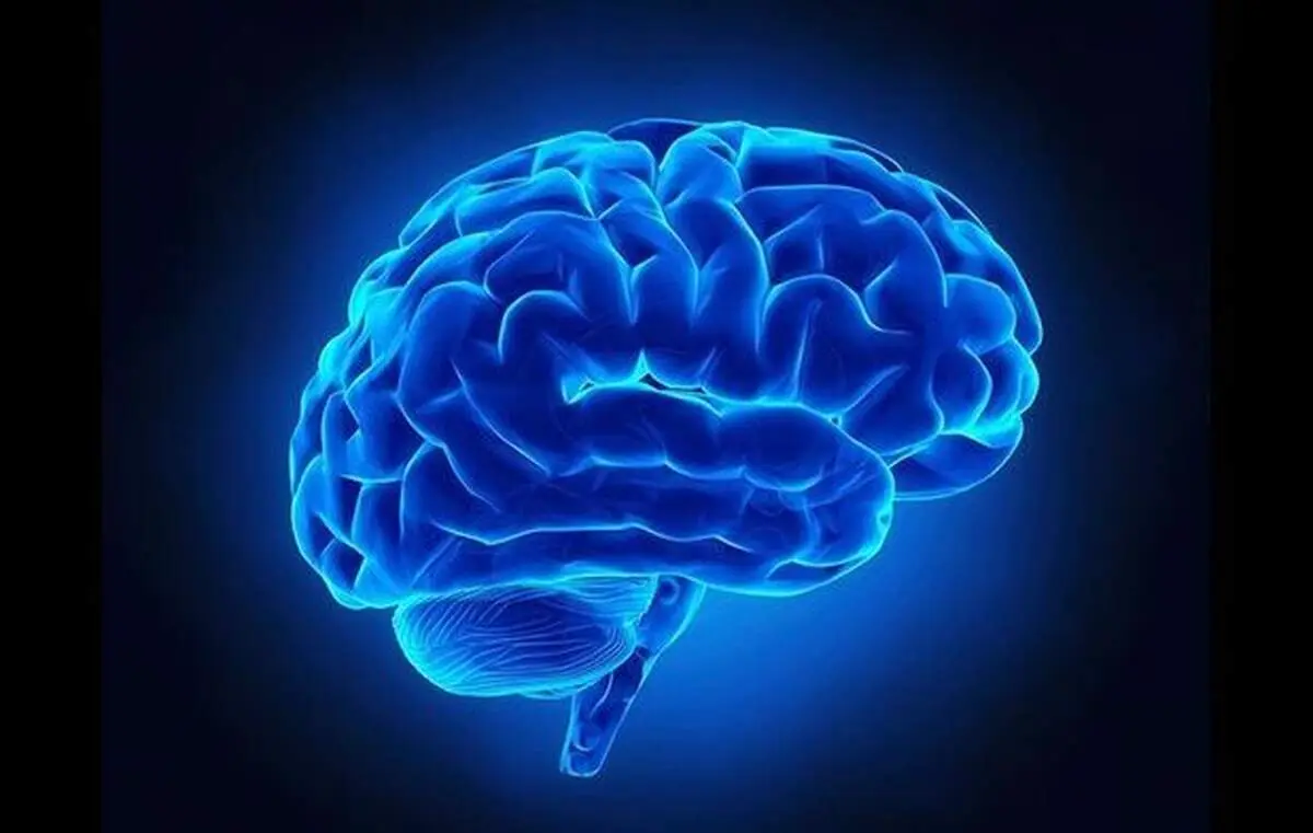پیشنهاداتی برای فعال نگه داشتن حافظه با افزایش سن