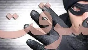زیر گرفتن پلیس توسط چند سارق در مشهد!+فیلم