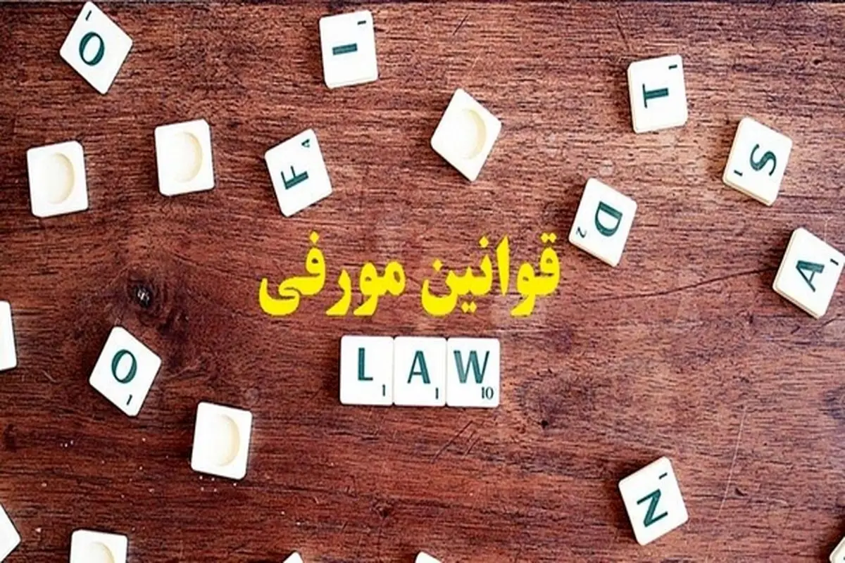 معروف‌ ترین قوانین مورفی؛ بدشانسی‌هایی که در تمام زندگی با آن سروکار دارید