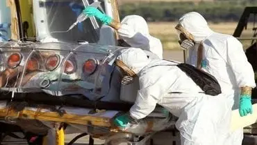 آبله میمون این بار در آمریکا ظاهر شد
