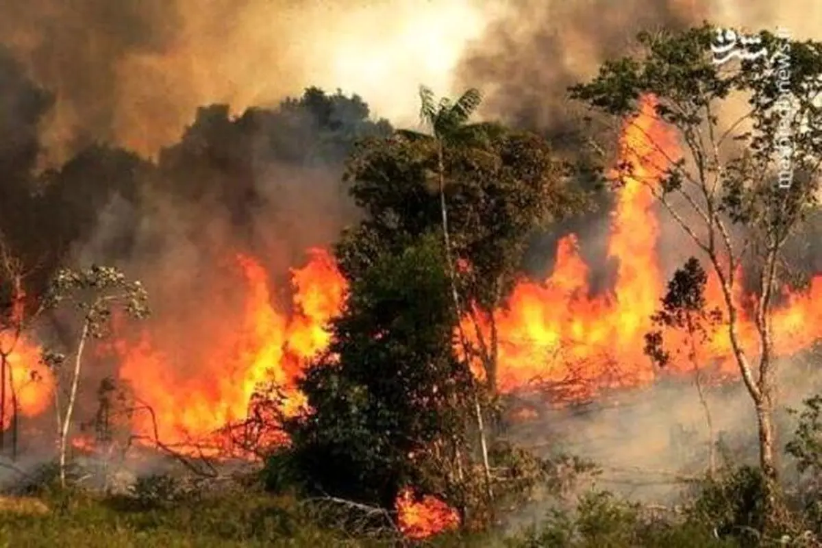 ادامه آتش سوزی در جنگل‌های غرب آمریکا