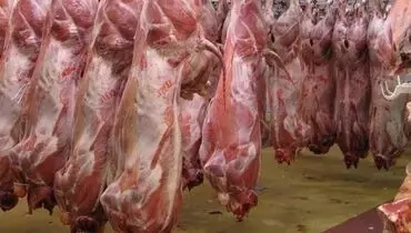 افزایش کاذب قیمت گوشت قرمز از ابتدای هفته