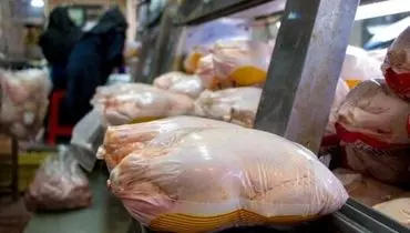 بررسی احتمال قیمت‌های نجومی برای بازار مرغ/ رسیدن مرغ به ۱۰۰ هزار تومان واقعیت دارد؟