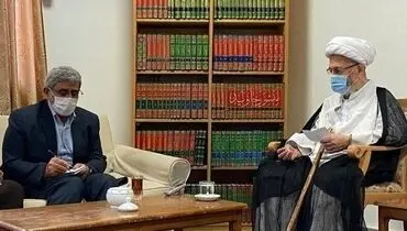 دیدار فرمانده سپاه قدس با آیت الله سبحانی+عکس