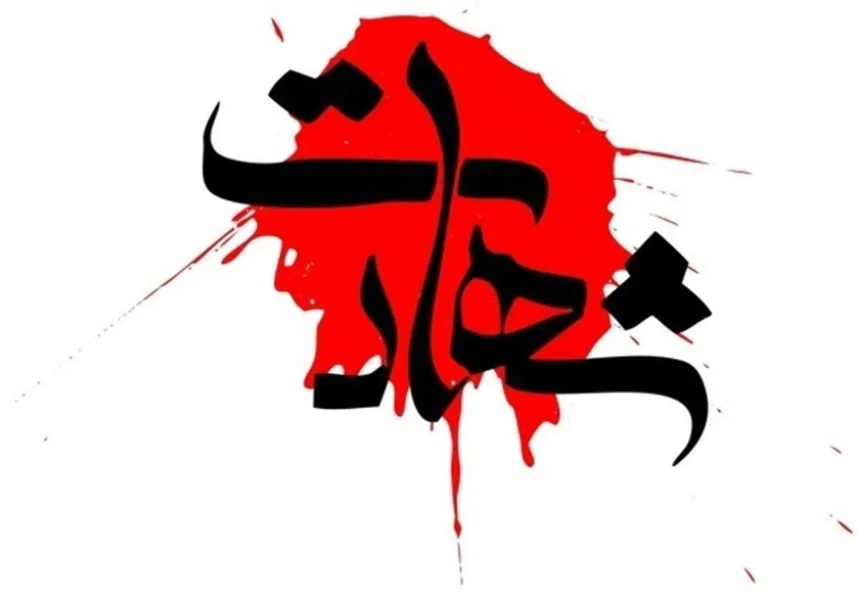 بوسه فرزند شهید ضرغام‌پرست بر عکس پدر+عکس