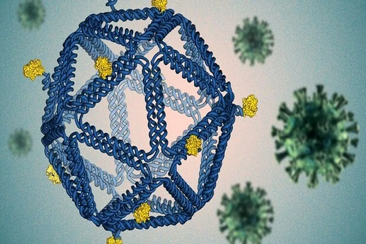استفاده از روش DNA Origami برای عقیم سازی ویروس‌ها
