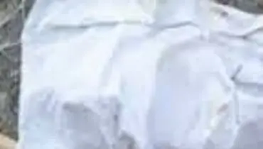 بازی مرگ روی پشت‌بام