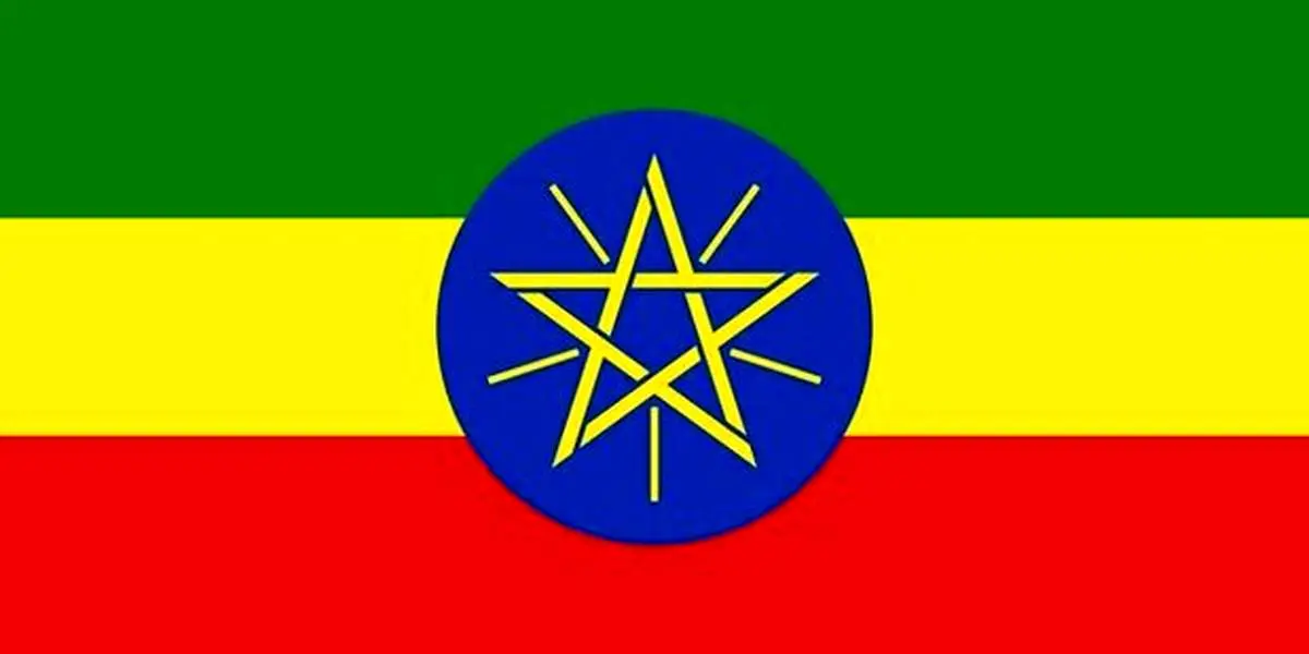 اتیوپی و روسیه چندین توافقنامه همکاری نظامی امضا کردند