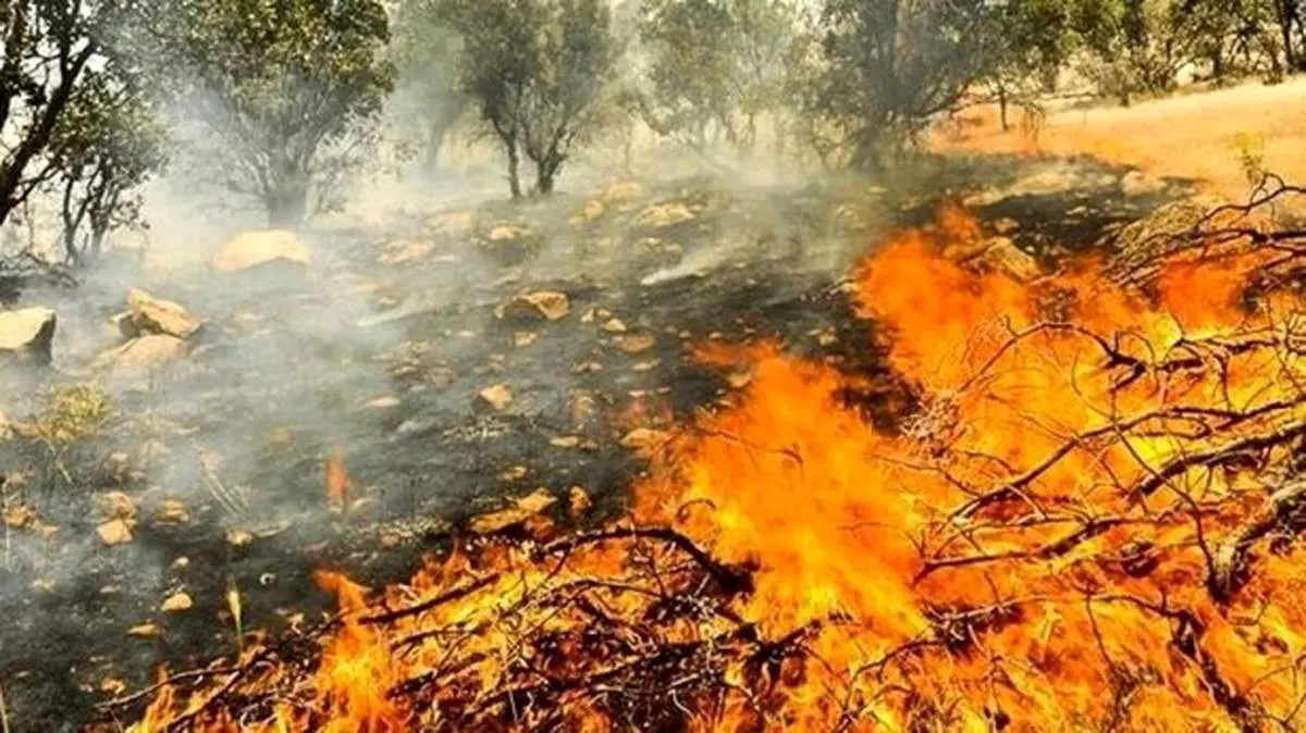 آتشسوزی یک قبرستان در بهبهان! + فیلم
