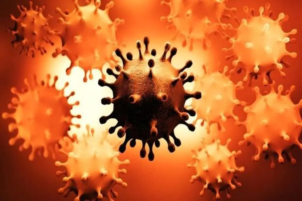 کشف روشی جدید برای پیشگیری از تکثیر ویروس کرونا