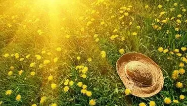 رمز و رازهای خنک نگه داشتن خانه در تابستان داغ/ ترفندهای صرفه‌جویی در مصرف برق