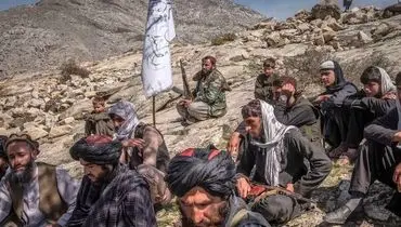 وزارت دفاع افغانستان: ۵۰ نیروی طالبان کشته و زخمی شدند
