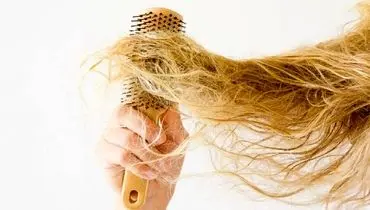 دلایل شایع خشکی مو چیست؟ + چگونه از مو‌های خشک مراقبت کنیم؟