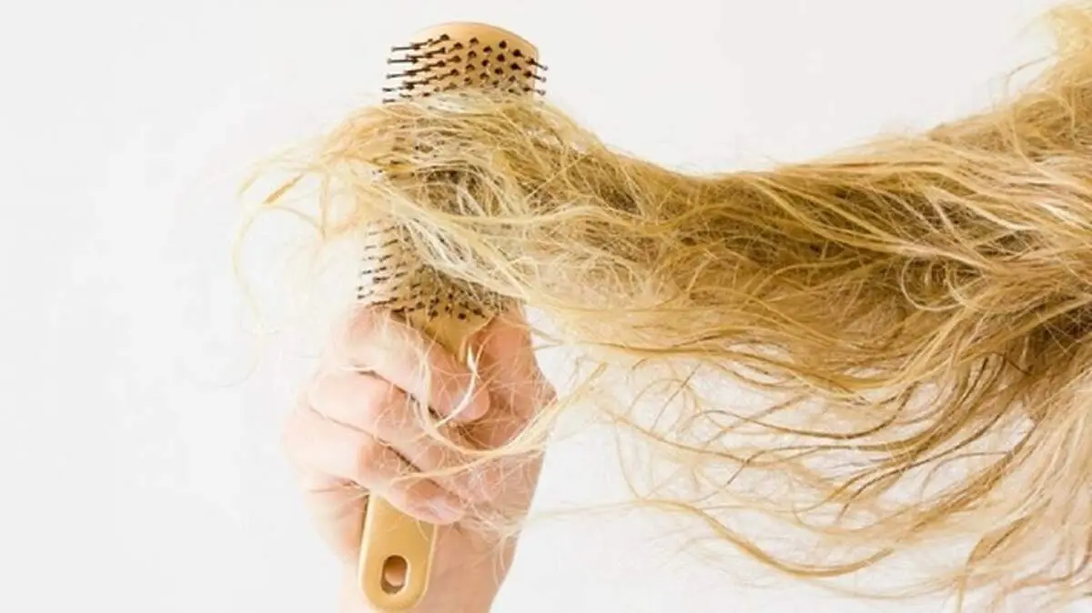 دلایل شایع خشکی مو چیست؟ + چگونه از مو‌های خشک مراقبت کنیم؟