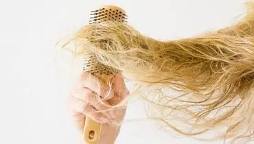 دلایل شایع خشکی مو چیست؟ + چگونه از مو‌های خشک مراقبت کنیم؟