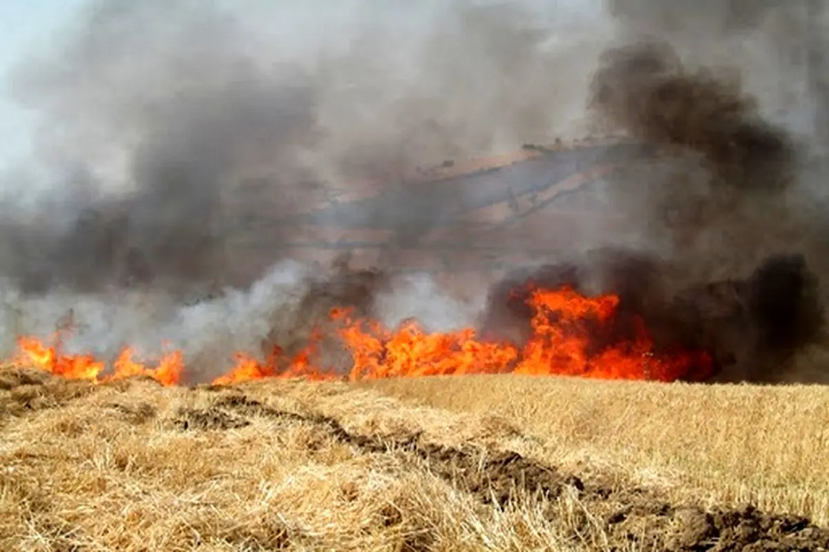 وقوع آتش‌سوزی در شهرک صهیونیست نشین اطراف غزه+ فیلم