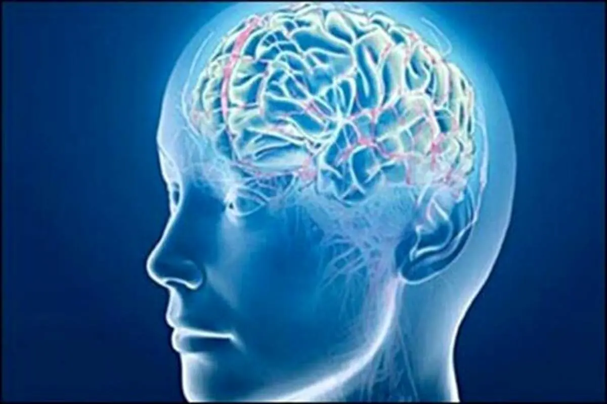 این کار‌ها آلزایمر را ۵ سال به تعویق می‌اندازد