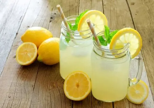 طرز تهیه شربت سکنجبین نعنای تازه برای روزهای گرم