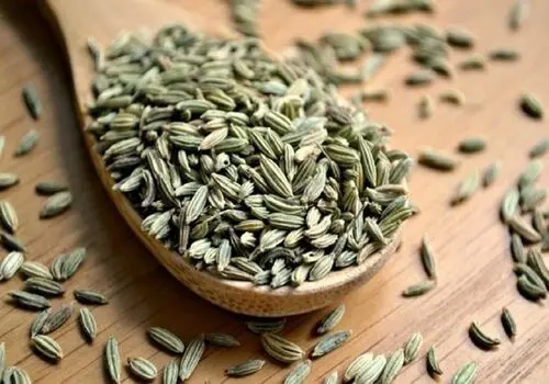 چگونه با مصرف رازیانه لاغر شویم؟