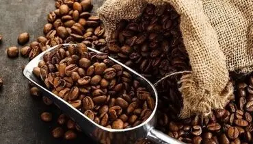 فواید کافئین در کاهش خطر ابتلا به سرطان و سنگ کلیه