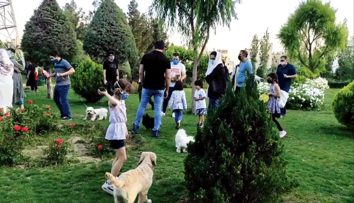با طرح جداسازی فضای بازی کودکان از حیوانات خانگی در پارک‌ها موافقید؟/ چرا حیوانات خانگی را به رسمیت نمی‌شناسیم؟