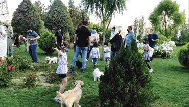 با طرح جداسازی فضای بازی کودکان از حیوانات خانگی در پارک‌ها موافقید؟/ چرا حیوانات خانگی را به رسمیت نمی‌شناسیم؟