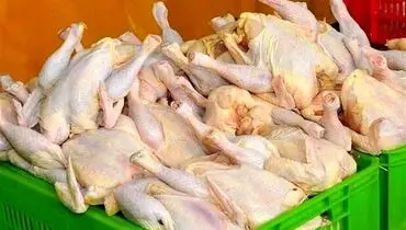 صف مرغ ۲۵۰ متری شد/ اختلاف قیمت گوشت مرغ به ۱۵ هزار تومان رسید! + عکس