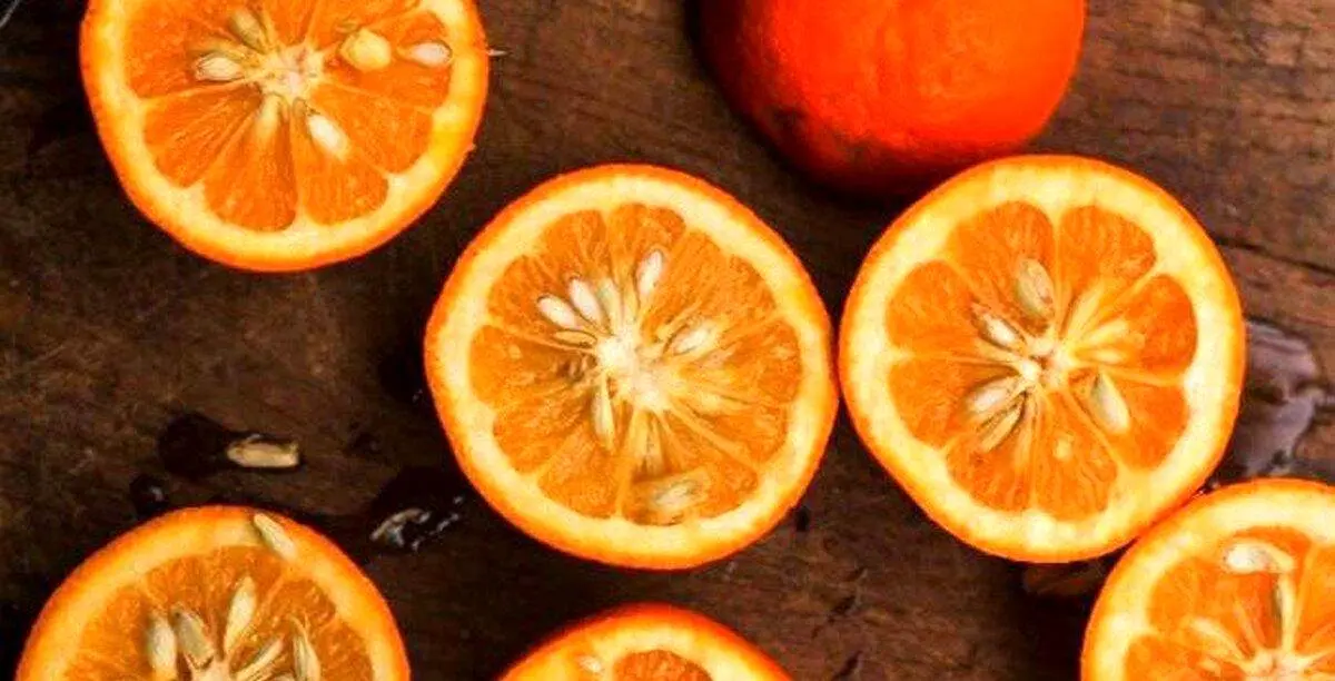 میوه معطر این روزهای بازار را زیاد مصرف کنید
