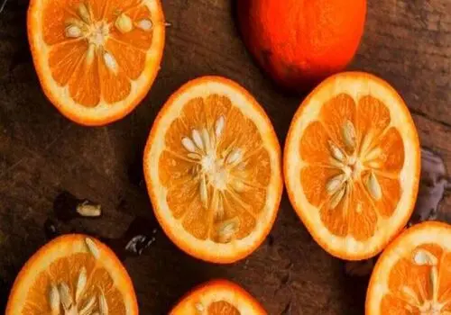 وقتی قیمت‌گذاری دستوری نفس رقابت را می‌گیرد

