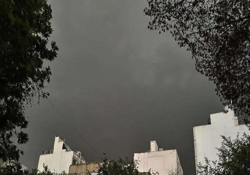  تلاش مردم برای نجات کبوتران از زیر بارش تگرگ مشهد+ فیلم