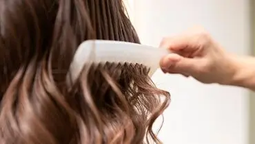 بهترین خوراکی های برای رشد مو 