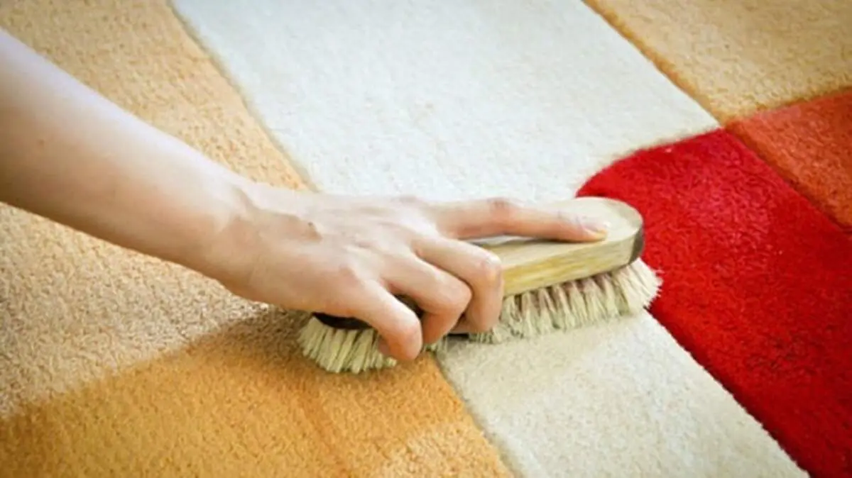 بهترین روش برای جمع کردن مو از روی فرش