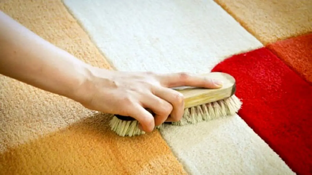 بهترین روش برای جمع کردن مو از روی فرش