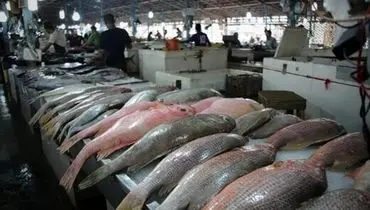 ماهی بیش از ۷۰ درصد گران شد