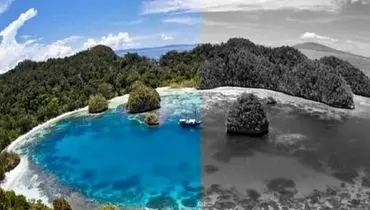 جزیره عجیبی که ساکنانش همه چیز را سیاه و سفید می بینند! + تصاویر