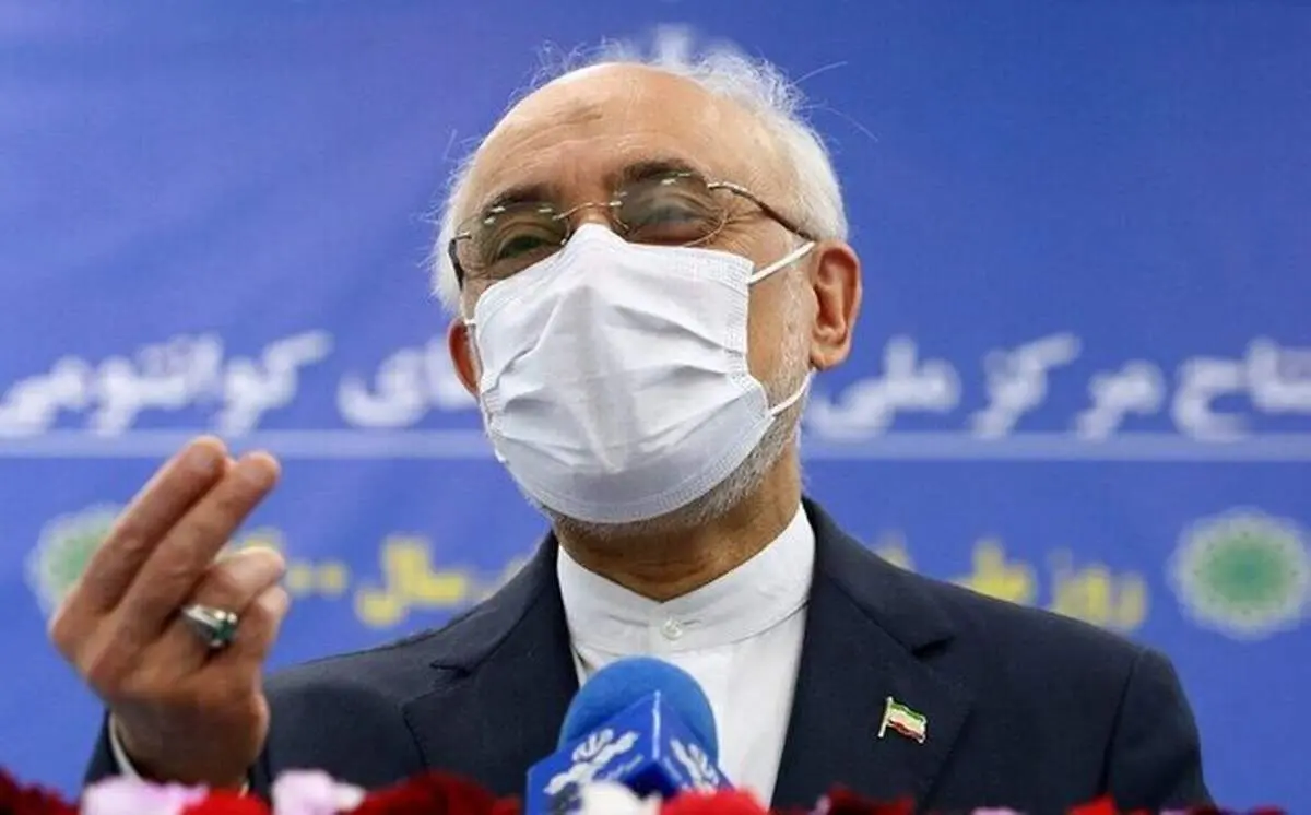 پاسخ سازمان انرژی اتمی به ادعاهای یک نماینده | شان کمیسیون اصل ۹۰ فراتر از مرزبندی های سیاسی است