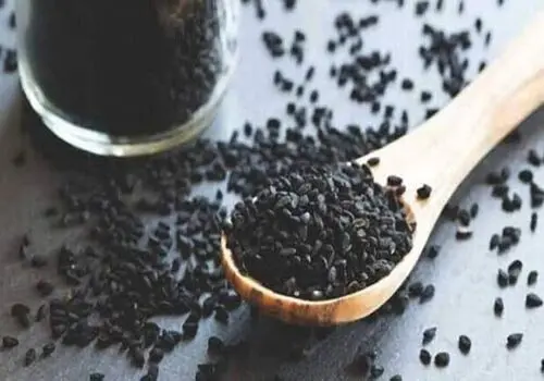 قدرت پنهان سیاه‌دانه؛ از طب سنتی تا علم مدرن