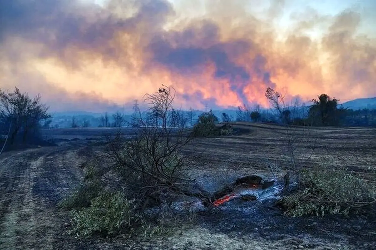 آتش‌سوزی گسترده در مناطق جنگلی استان گلستان + فیلم