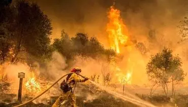 نخست وزیر یونان: آتش‌سوزی جنگل‌ها، بزرگ‌ترین بلای چند دهه گذشته بود