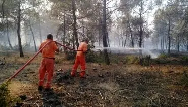 ترکیه کمک صهیونیست‌ها برای اطفای حریق جنگل‌های خود را نپذیرفت