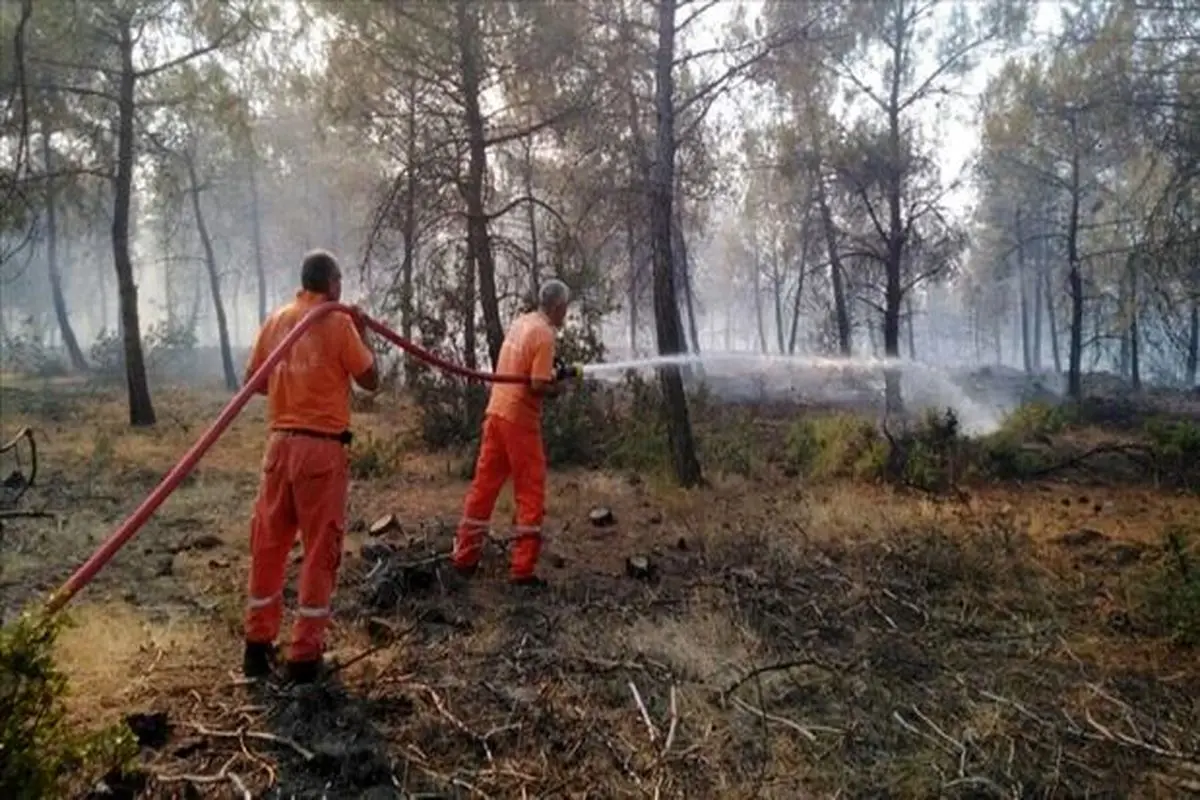 ترکیه کمک صهیونیست‌ها برای اطفای حریق جنگل‌های خود را نپذیرفت