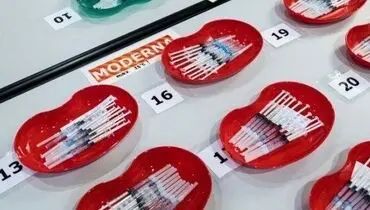 واکسن کرونا فایزر و مادرنا گران شد