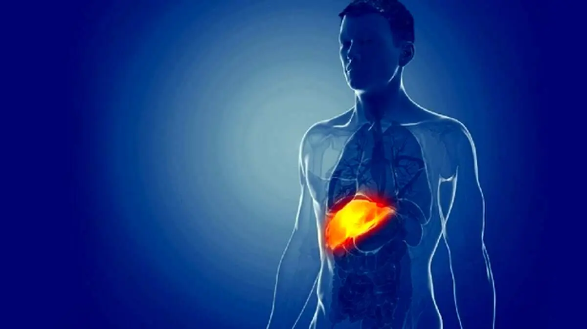 عادت هایی که باعث بیماری کبد چرب می‎شوند