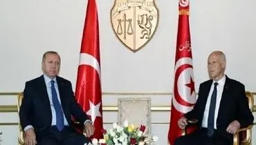 اردوغان: ادامه کار پارلمان تونس برای دموکراسی در این کشور مهم است