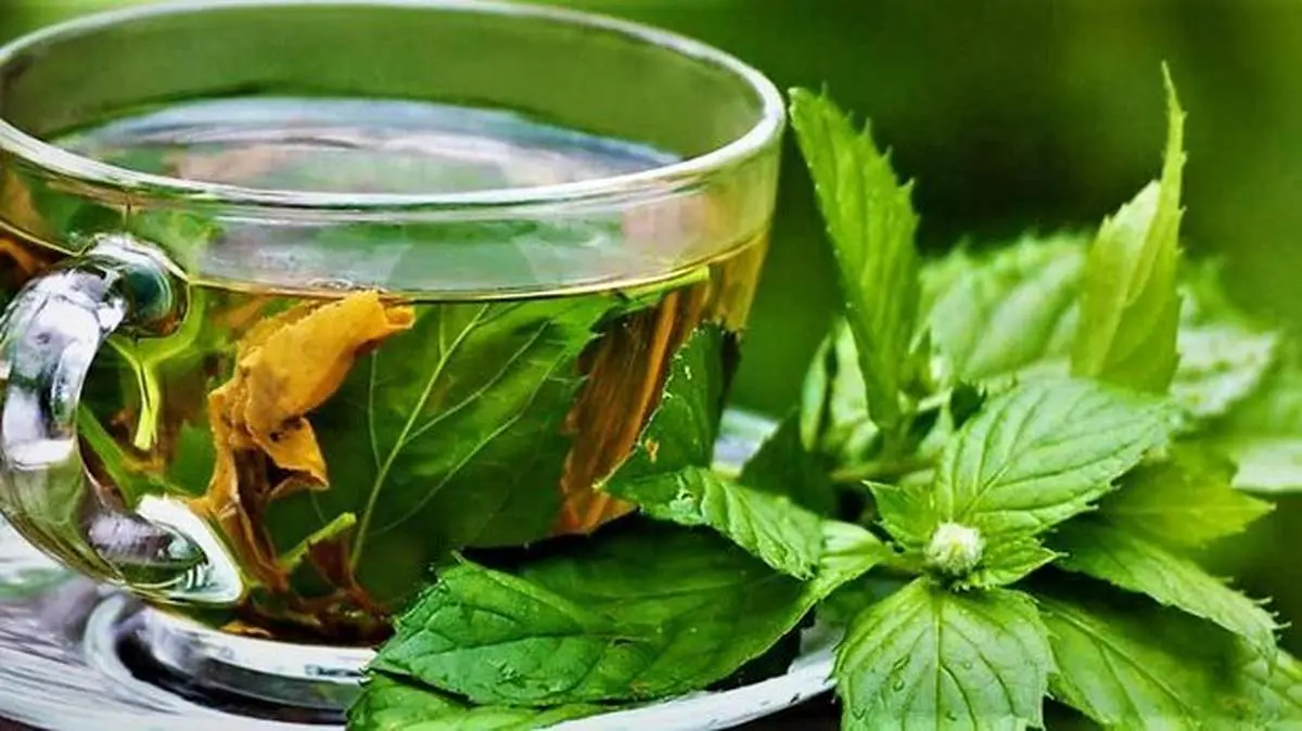 طرز تهیه دمنوش پونه