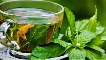طرز تهیه دمنوش پونه