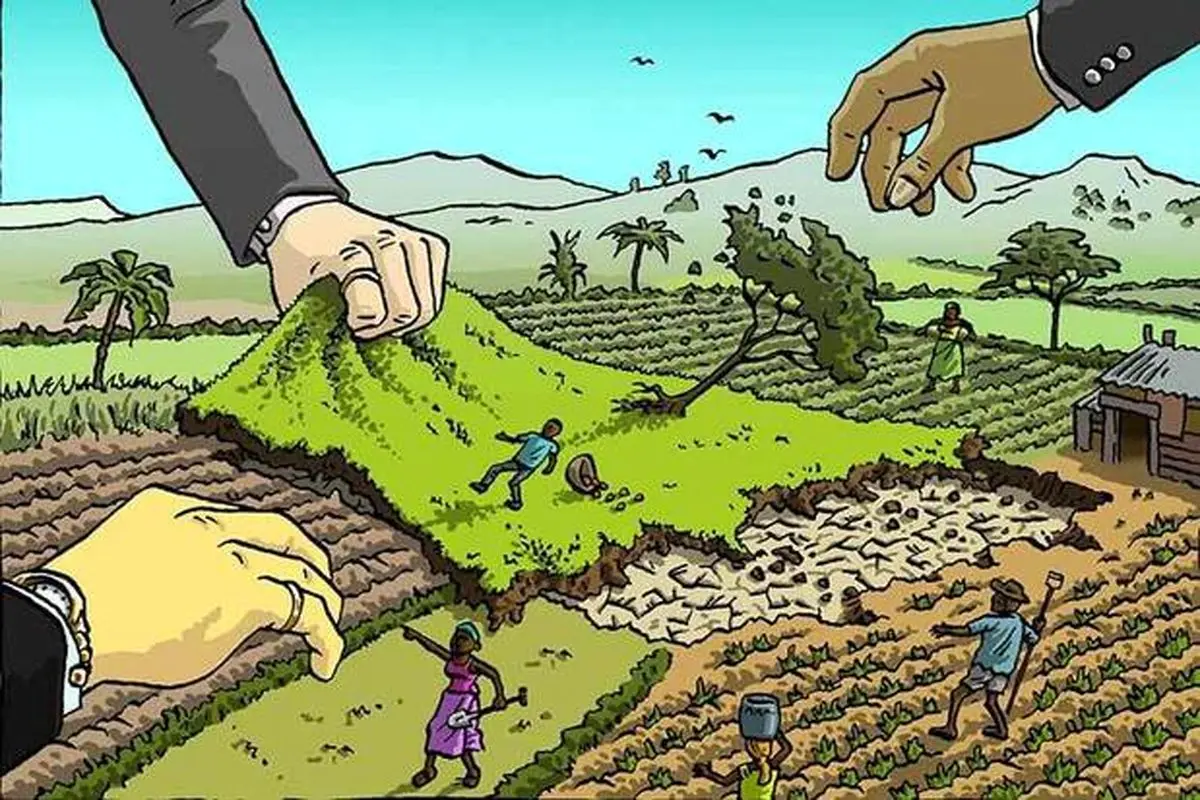 افزایش تعداد زمینخواری نسبت به ماه قبل
