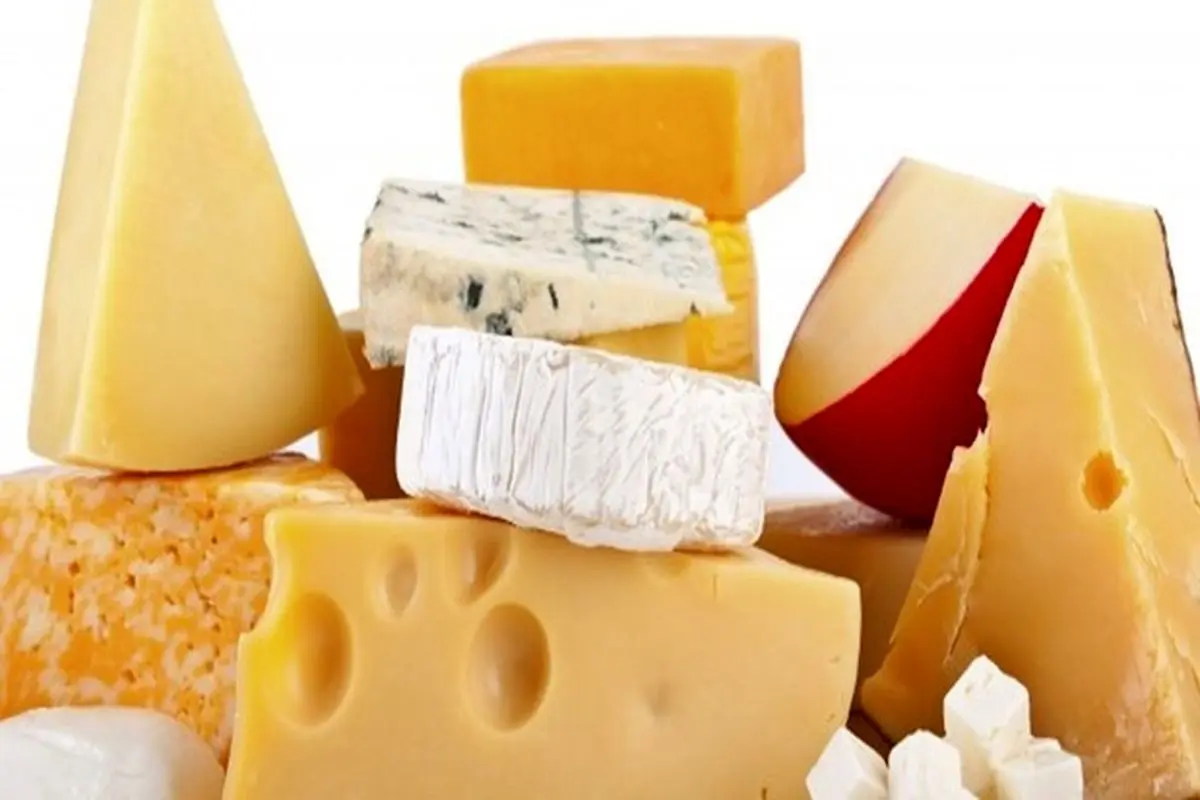 پنیر‌های معروف دنیا که نباید خوردن آن‌ها را از دست بدهید + تصاویر