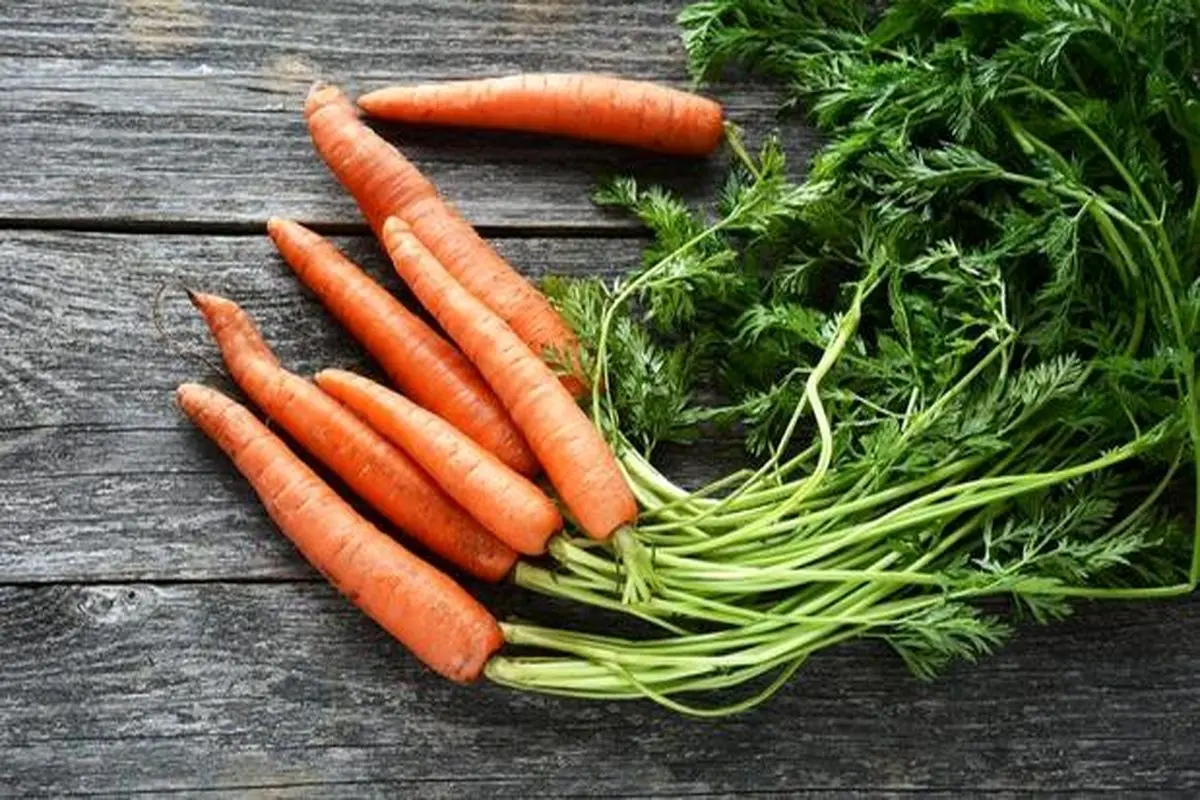 خواص شگفت انگیز برگ هویج برای سلامت بدن