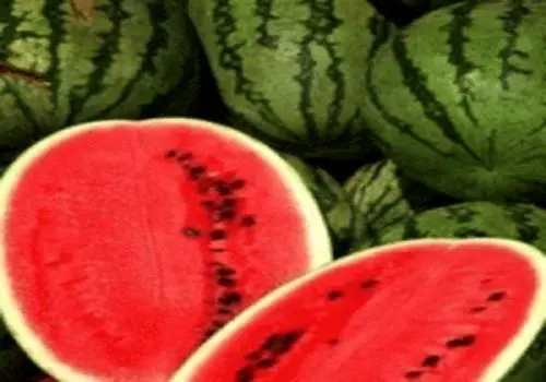 ۱. هم نشینی با گرمابخش ها: ترکیب هندوانه با هم طبع های گرم
